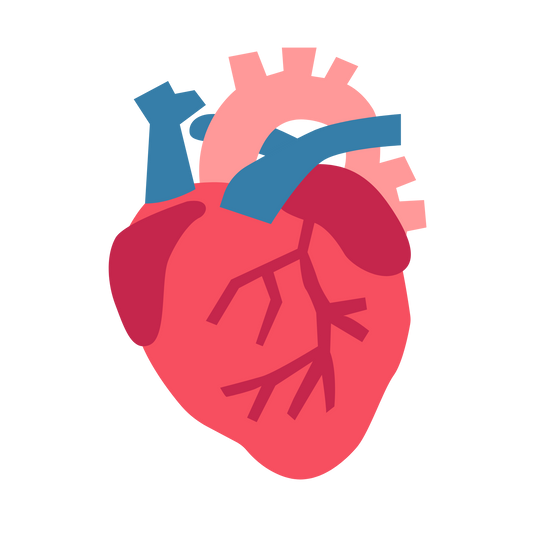 Cardiology Mastery Simplified